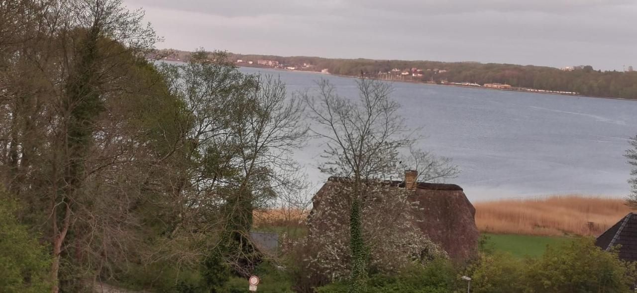 Akzent Hotel Alte Direktionsvilla Kupfermuehle Harrislee Bagian luar foto